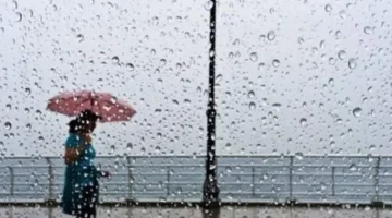 توقعات الطقس غدًا الخميس أمطار وشبورة على الطرق